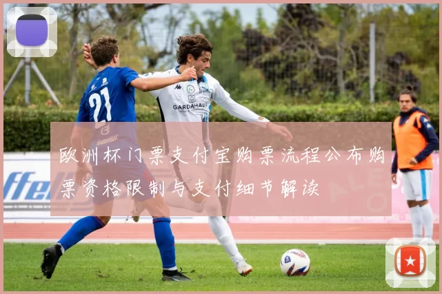 欧洲杯门票支付宝购票流程公布购票资格限制与支付细节解读