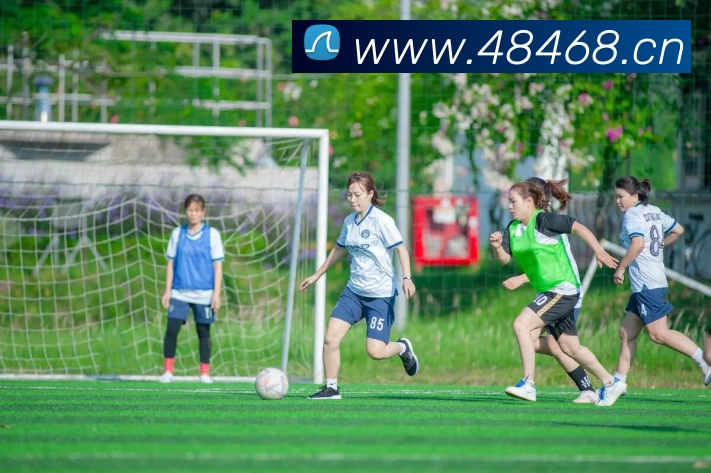 多媒体互动体验